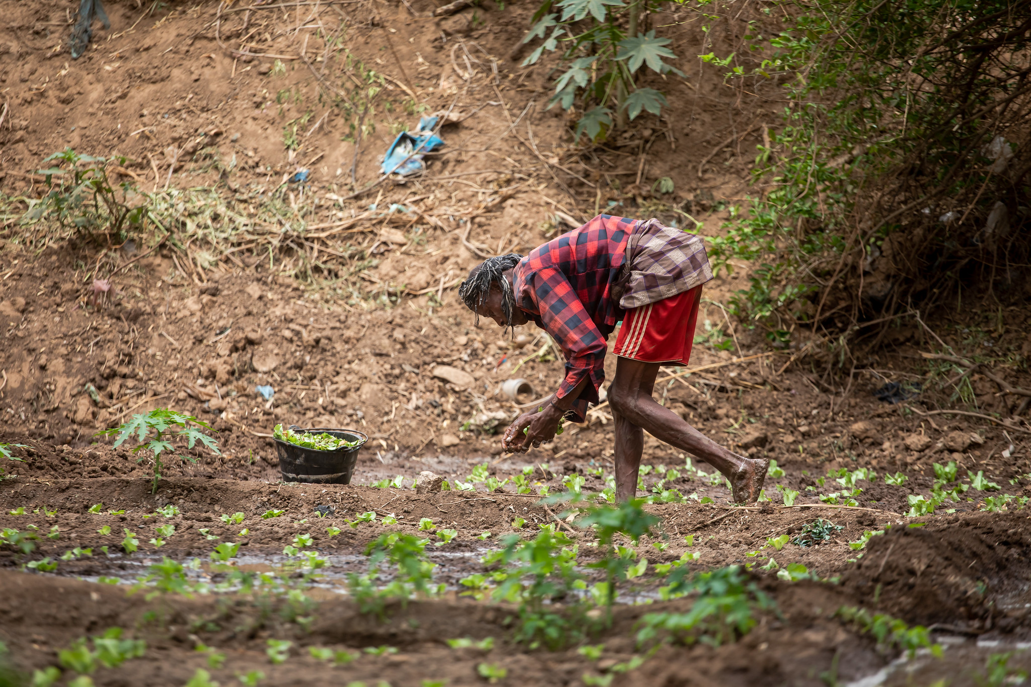 $14million-gafsp-allocation-to-unlock-finance-for-african-farmers-–-farming-first