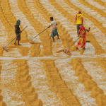 why-food-finance-is-crucial-for-addressing-climate-risks-–-farming-first