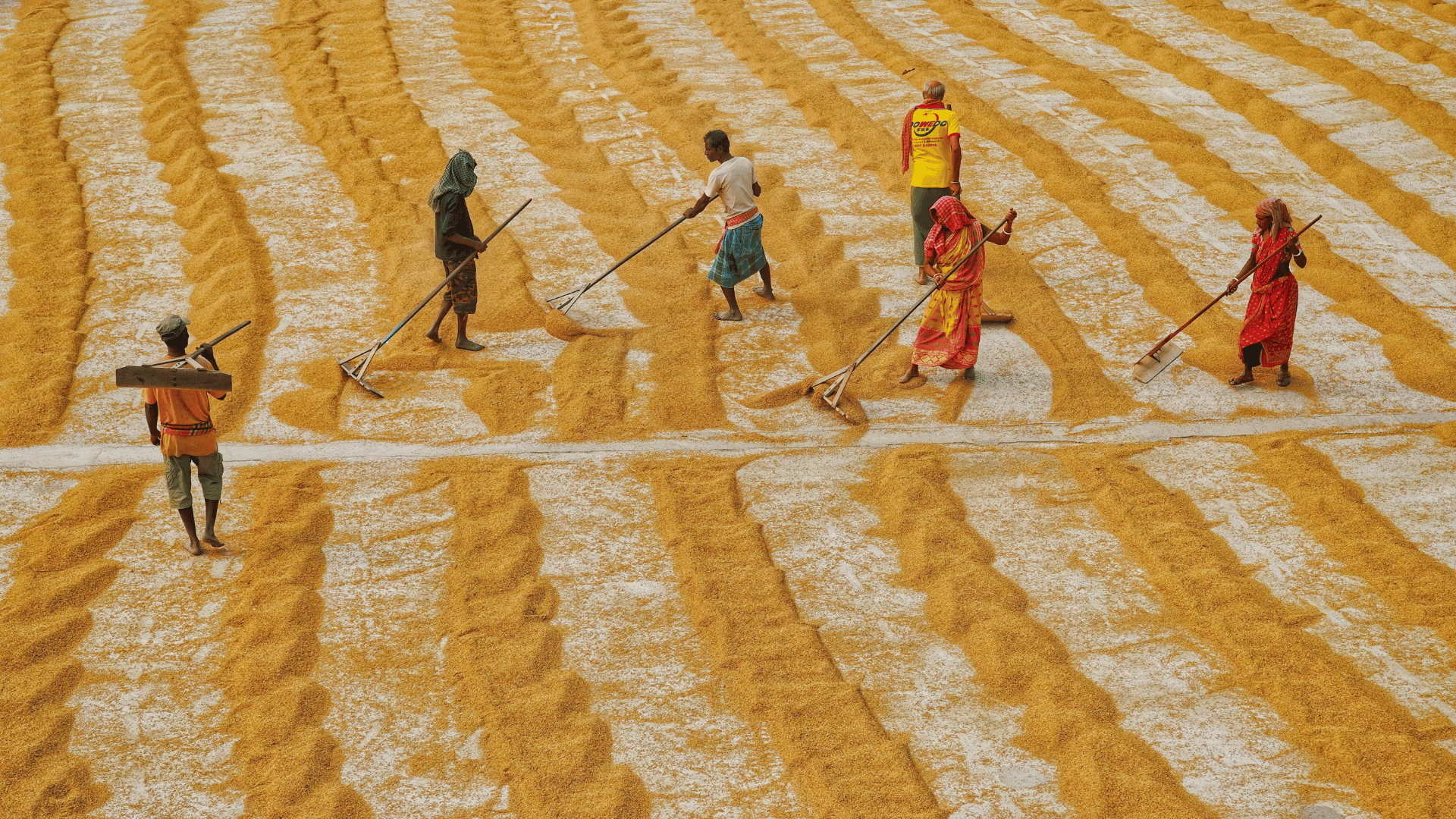 why-food-finance-is-crucial-for-addressing-climate-risks-–-farming-first