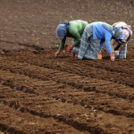 new-report-presents-scalable-climate-smart-farming-solutions-–-farming-first