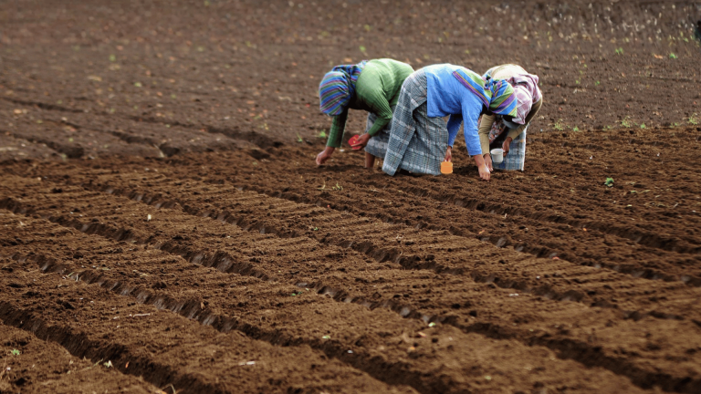 Read more about the article New Report Presents Scalable Climate-Smart Farming Solutions – Farming First