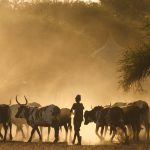 sustainable-livestock:-opportunity-or-oxymoron?-–-farming-first