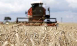 Unlocking Agricultural Productivity for a Sustainable Future – Farming First