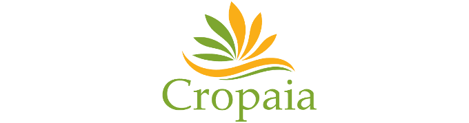 Read more about the article Promociones vigentes y exclusivas para miembros de Dendera Casino hoy | Cropaia