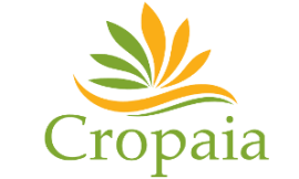 Royal Reels Australia AUD Payment Options for Deposits and Withdrawals | Cropaia