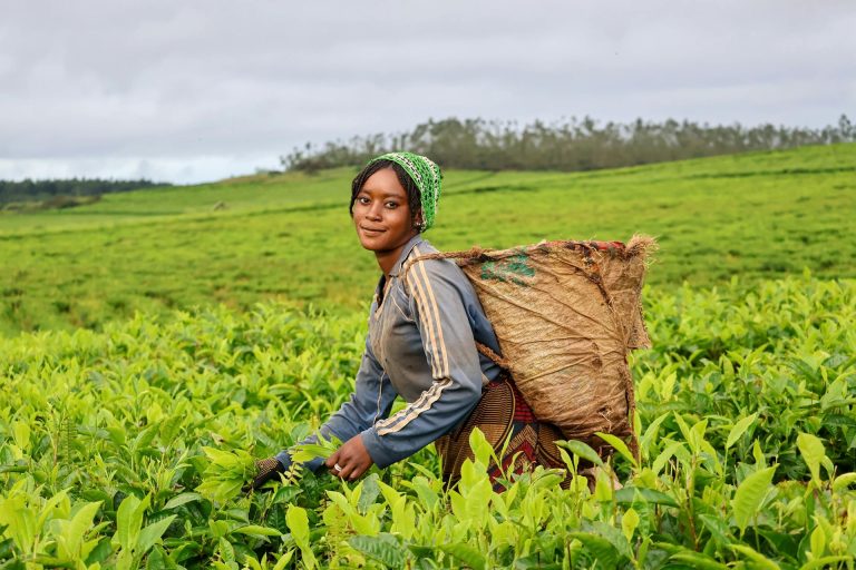 Read more about the article Why Strengthening Women Farmers’ Leadership Matters – Farming First